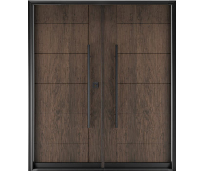 FR20 - Double Entry Door 
